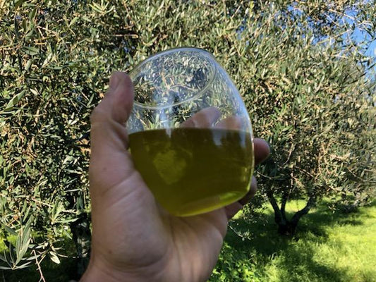 Breaking News - Our highly anticipated new 2019/2020 olive oil harvest has finally arrived