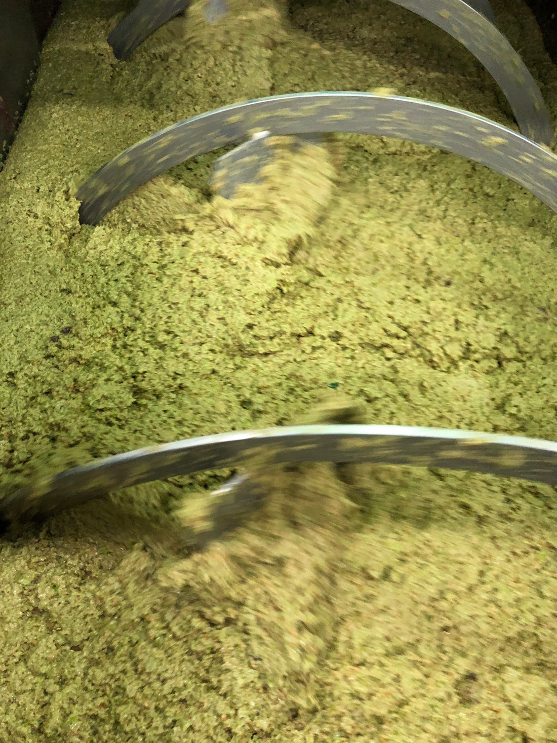 Cold Extracted Olive Oil Meaning