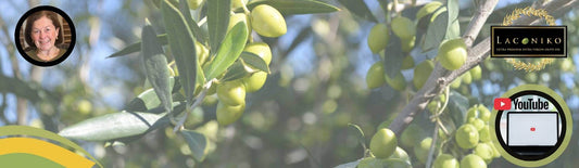 Free Laconiko Educational Webinar: Discover the Health Benefits of Olive Oil with Mary Flynn, PhD, RD